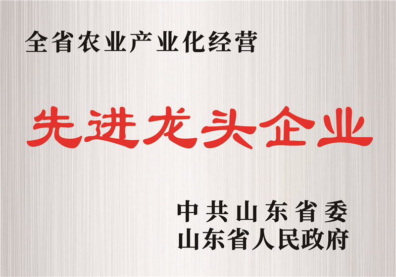 先進龍頭企業(yè)