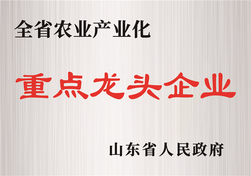 重點龍頭企業(yè)