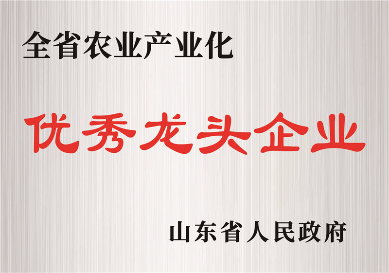 優(yōu)秀龍頭企業(yè)