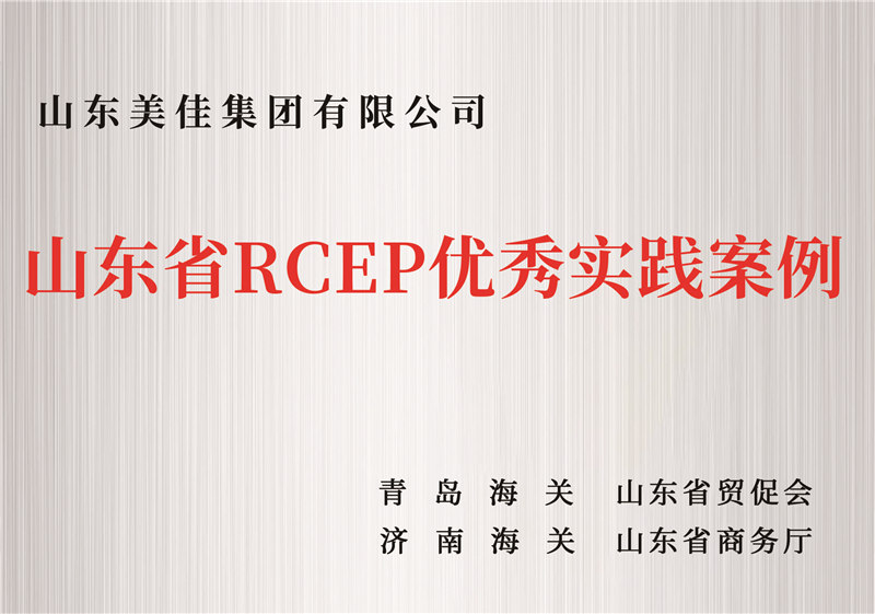山東省RCEP優(yōu)秀實踐案例